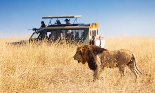 SAFARI-IN-TANZANIA