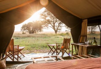 Serengeti-Safari-Camp015